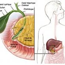 Lire la suite : Ablation de la vésicule biliaire sous coelioscopie en ambulatoire